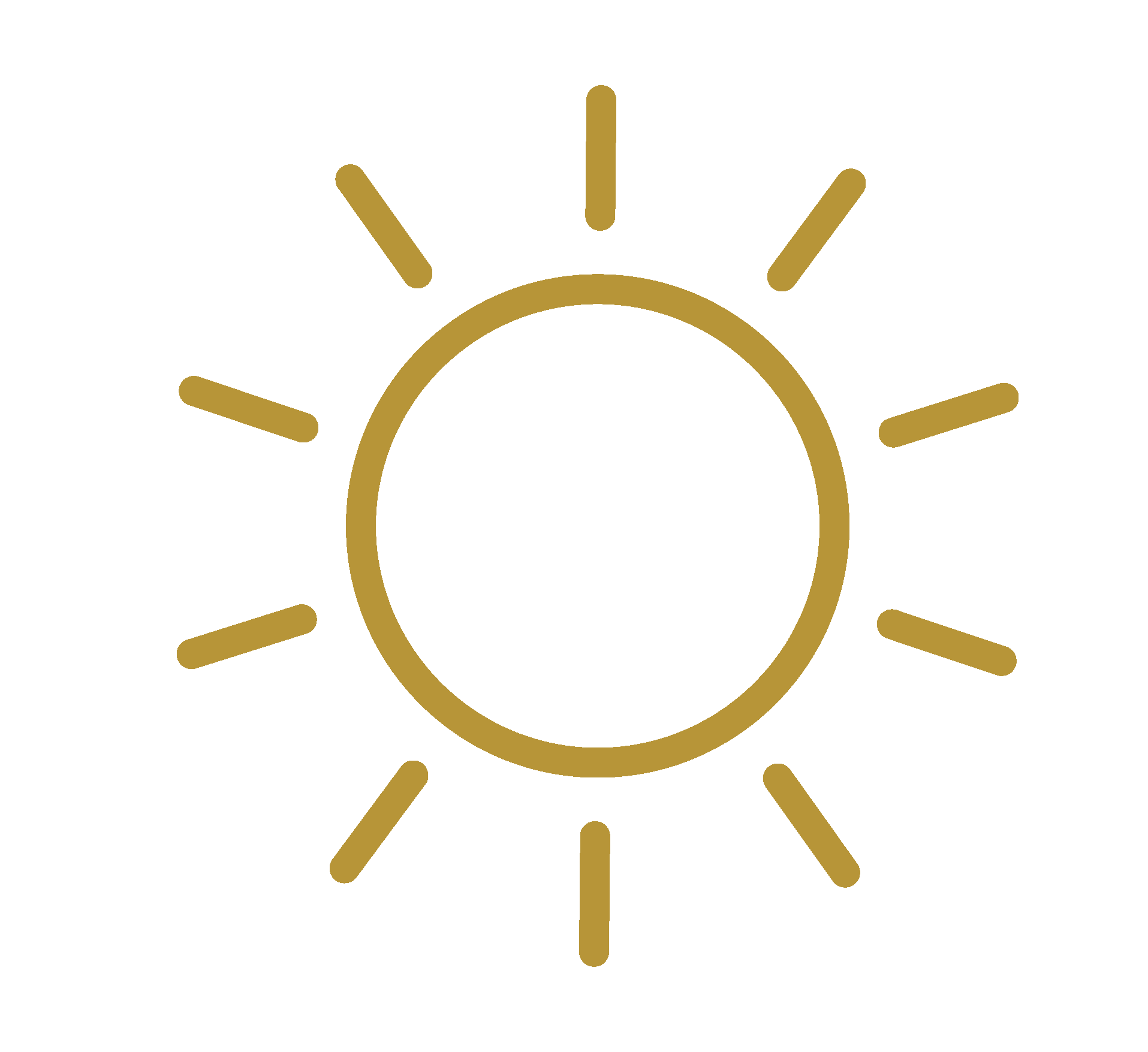 Direct sunlight plant care icon